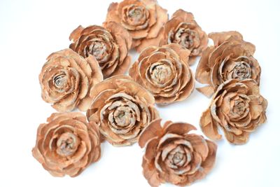 cedar roses natural ten