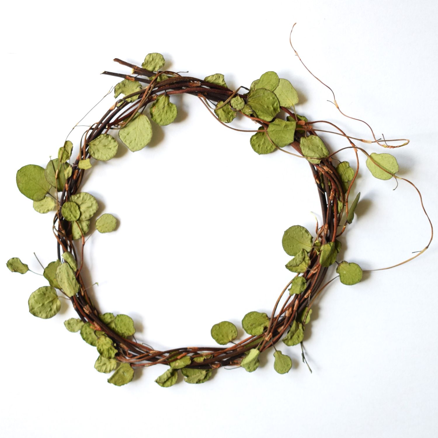 maidenhair vine pressed wreath uk