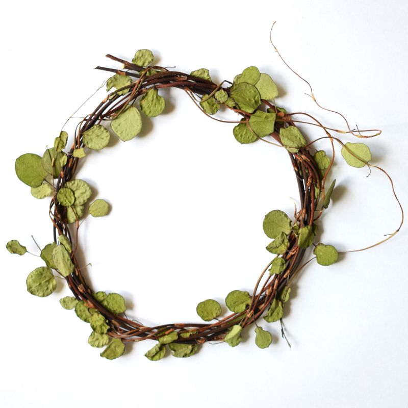Pressed Wire Vine leaves 8cm wreath UK maidenhair vine pressed wreath uk