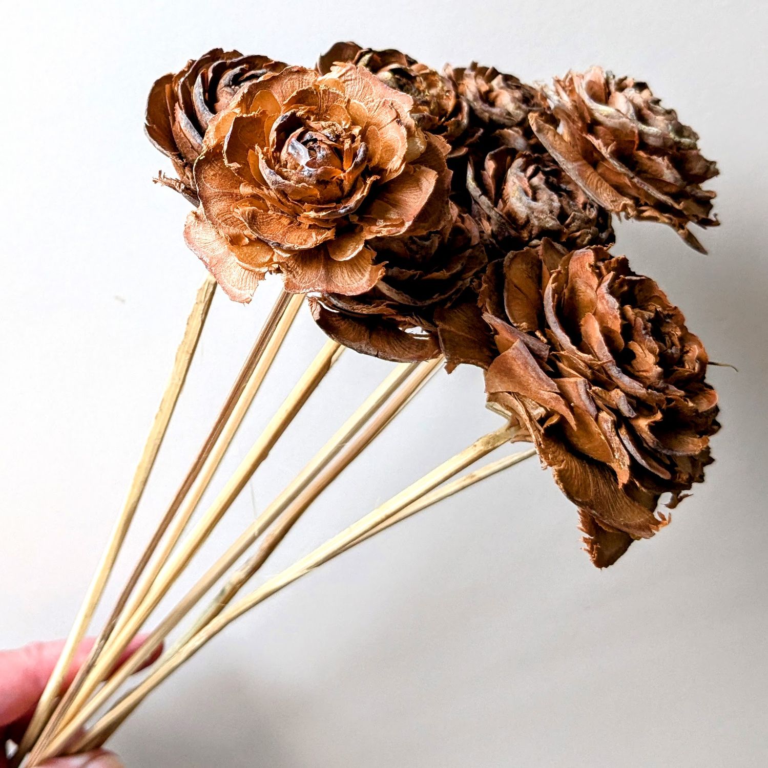 cedar rose pick wholesale