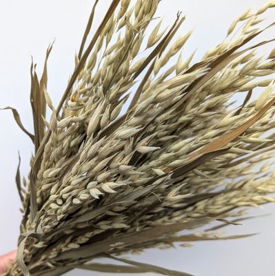 oats bunch uk dry