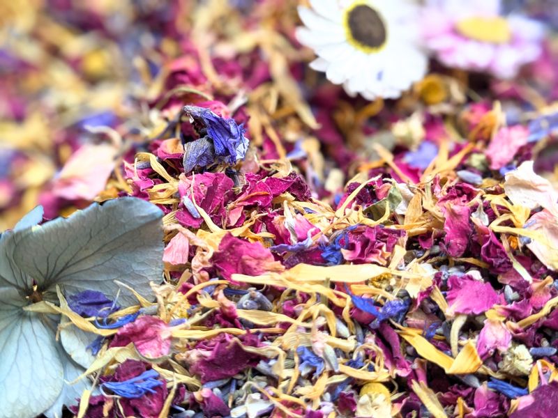 Random Rainbow petal confetti mix random rainbow confetti petals