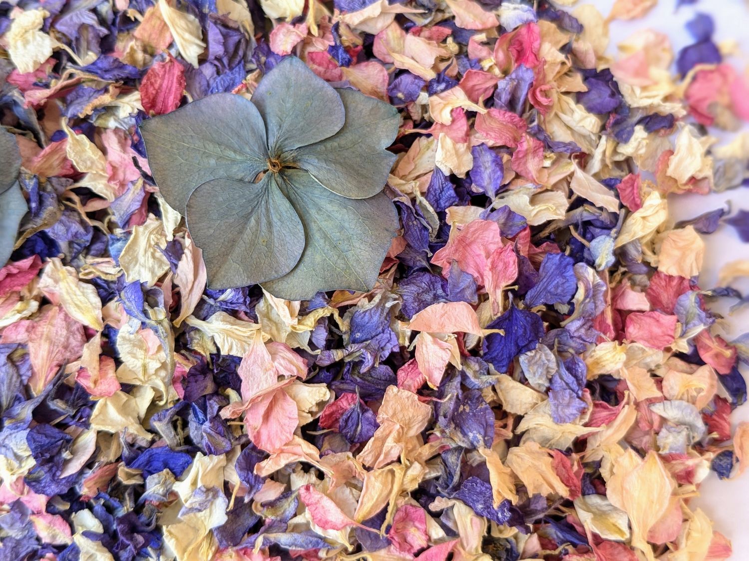 pretty petal confetti