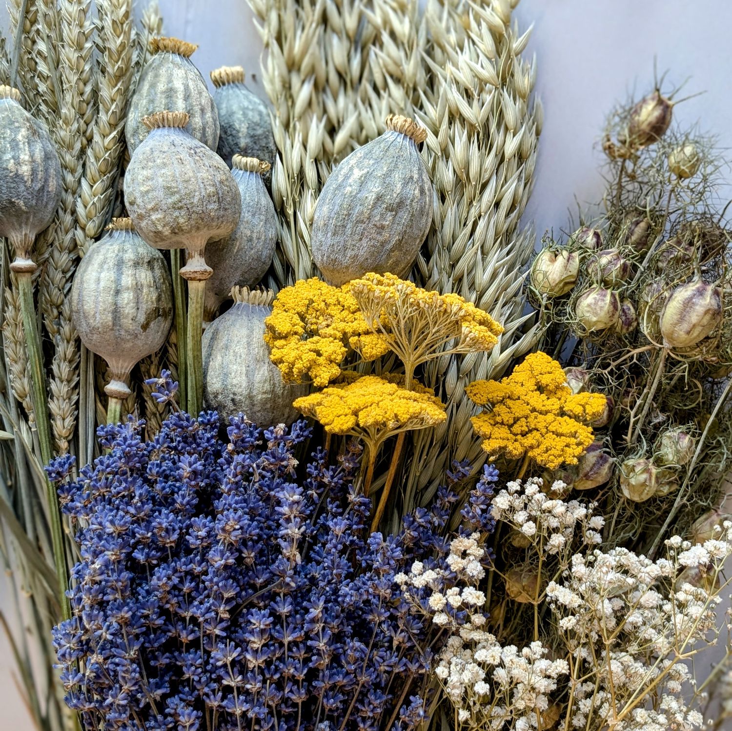 british dried flowers