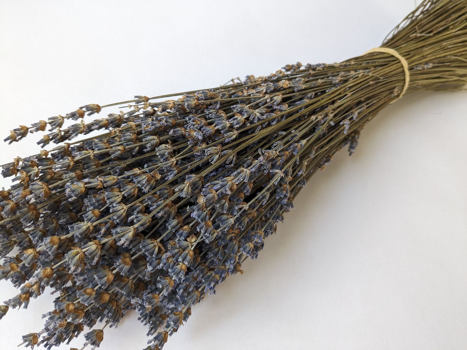 lavender bunch sale