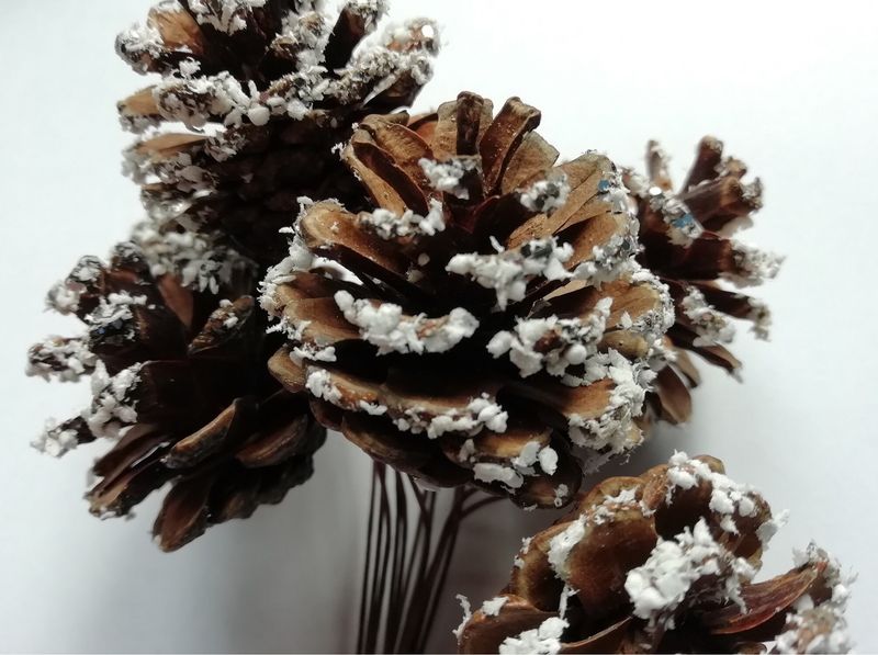 Wired snowy pine cones 6 pack - Sale wired pine cone