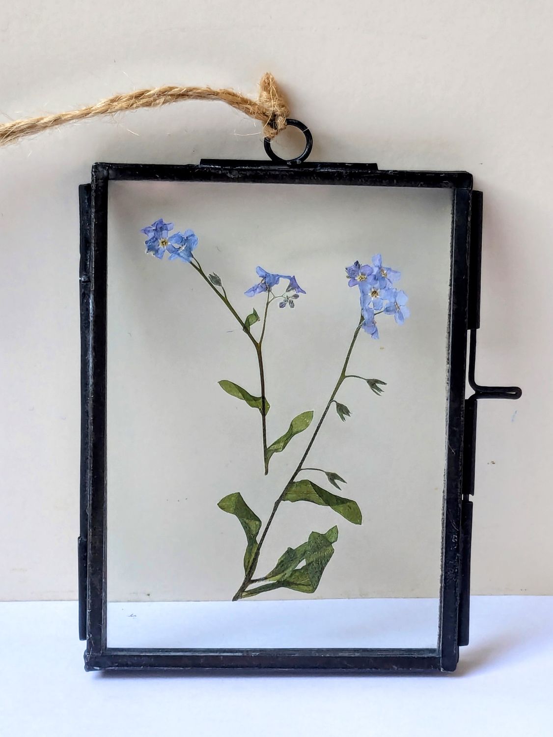 pressed forget me not frame