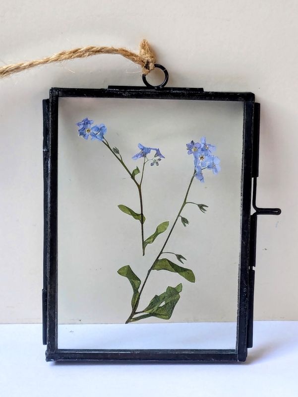 Pressed flower frame Forget Me Not pressed forget me not frame