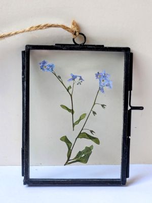 pressed forget me not frame
