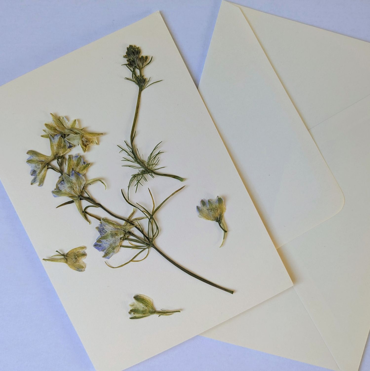 pressed flower card kit