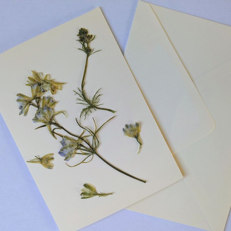 Pressed Delphinium card kit 4x6 pressed flower card kit