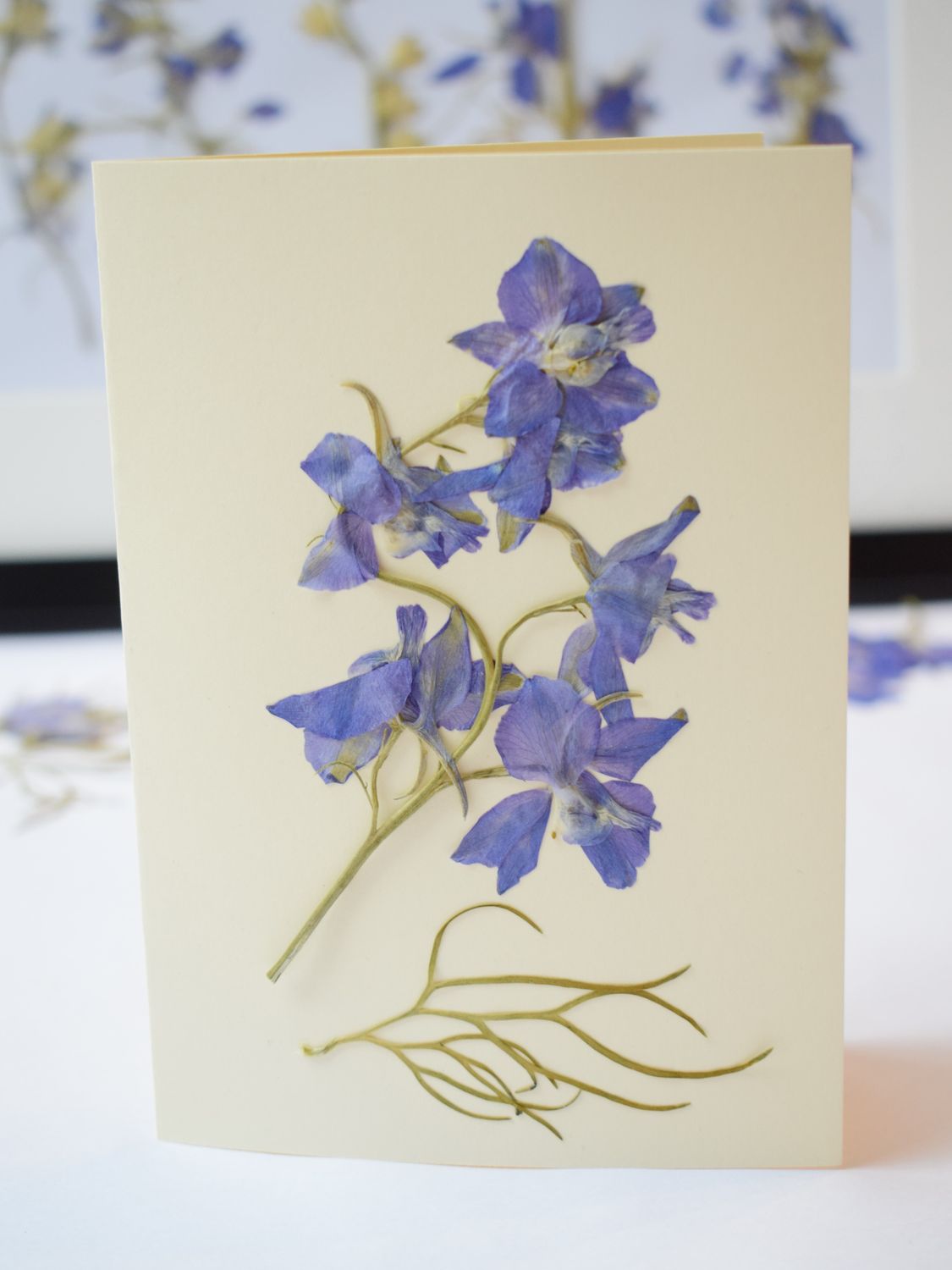 delphinium card