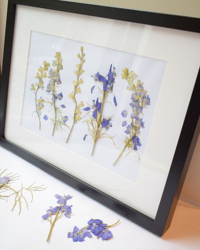 Pressed flower art large framed UK pressed flowers picture