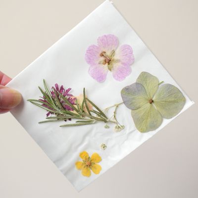 pressed flowers mixed uk grown