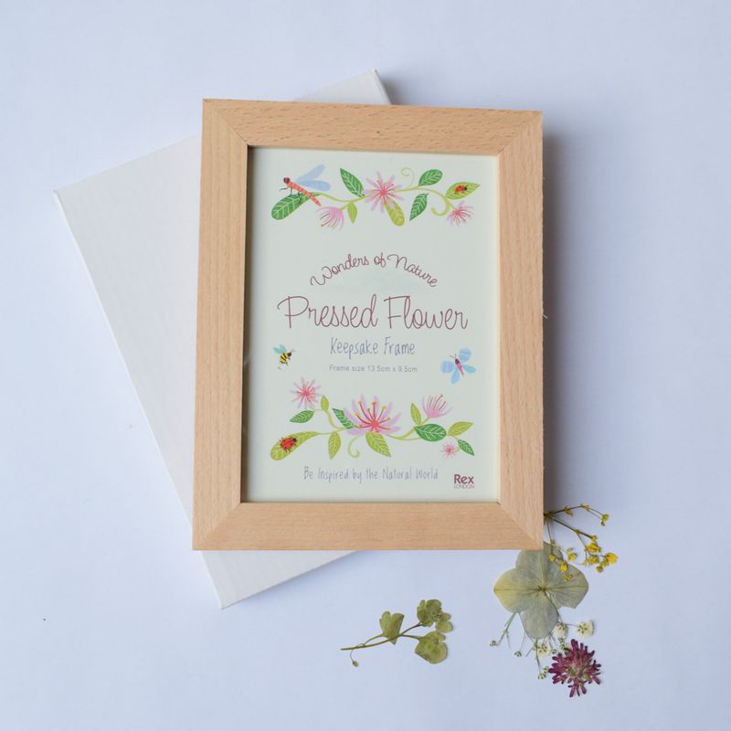 Pressed flower frame wood Offer pressed flower frame with box