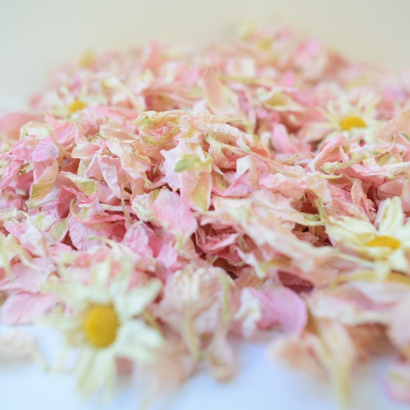 Pale pink Delphinium Daisy confetti UK daisy confetti