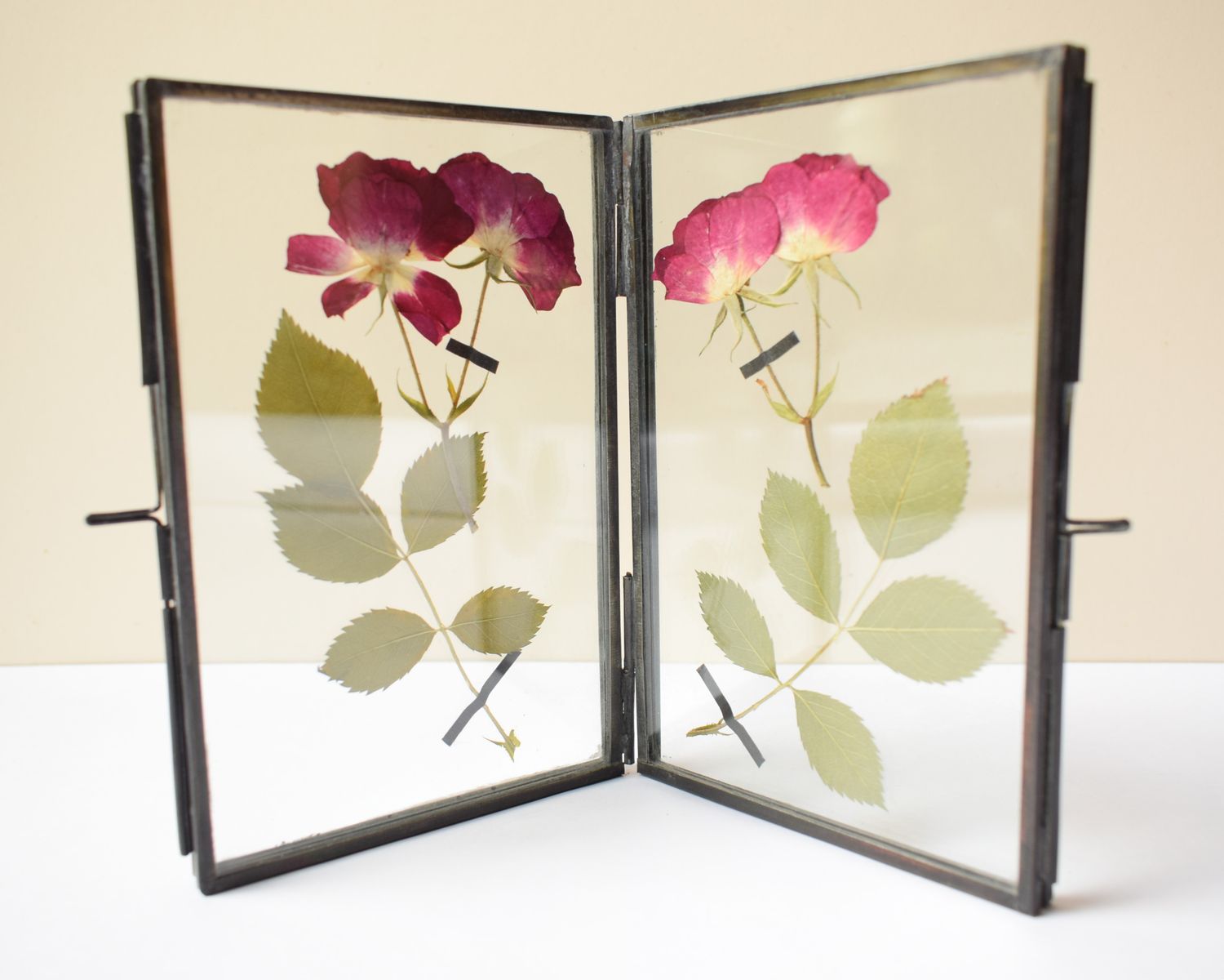 pressed roses framed uk