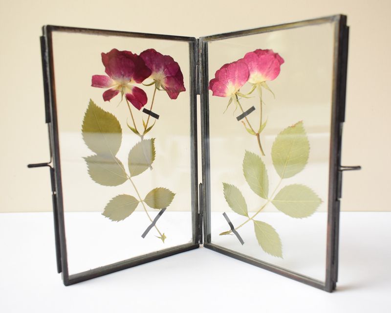 Pressed flower frame Rose UK pressed roses framed uk