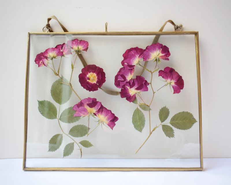 large framed pressed roses