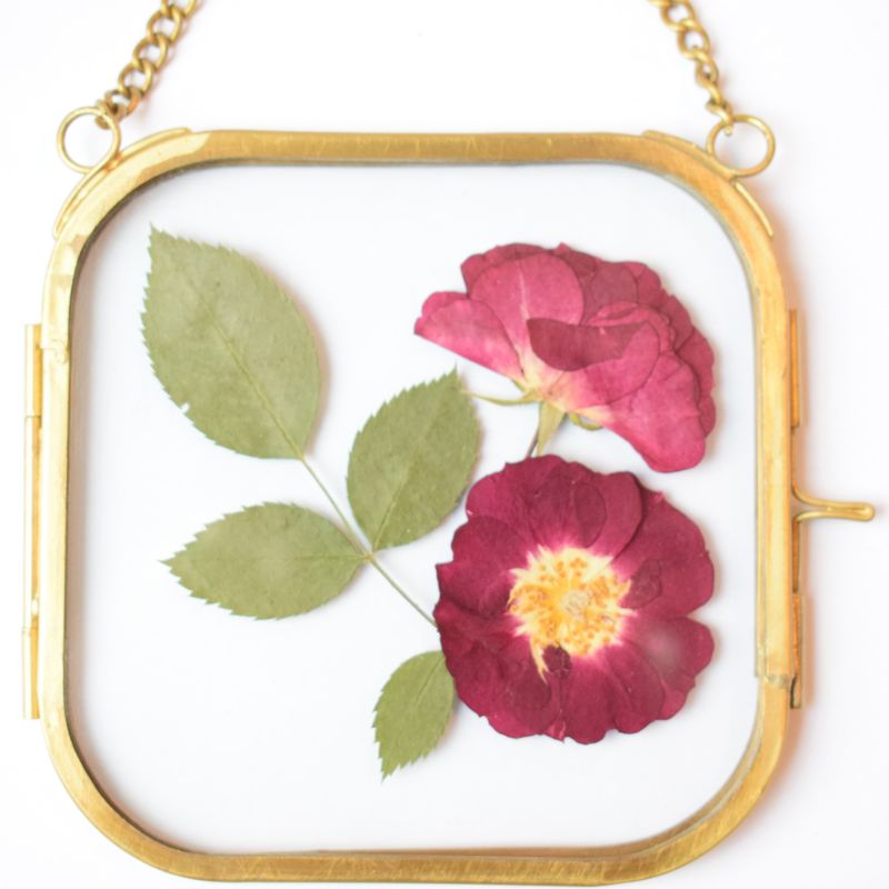 Pressed roses framed square handmade UK pressed rose framed uk