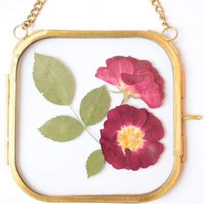 pressed rose framed uk