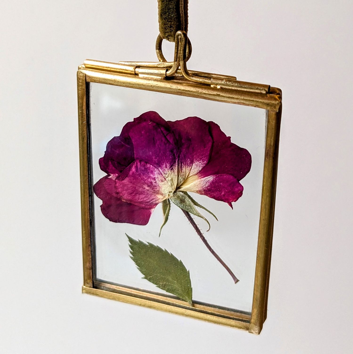 small hanging framed red rose pressed uk