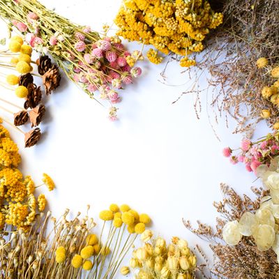 Buy Summer Blooms