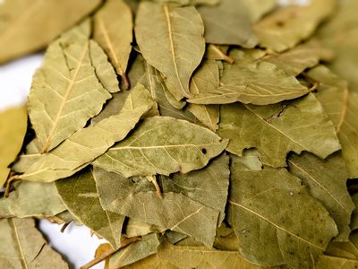 bay leaves