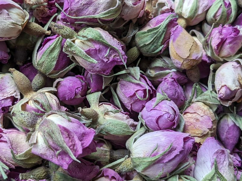 pink rose buds fragranced dried