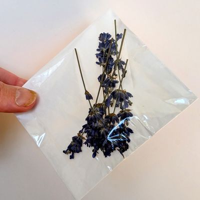 pressed lavender uk
