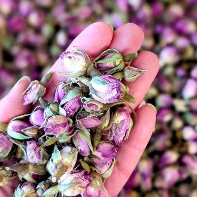 Pink rose buds fragranced bulk packs rosebud potpourri wholesale