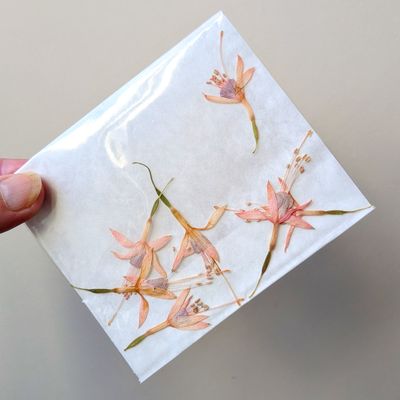 Pressed Fuchsia flowers 7 UK pressed fuchsia