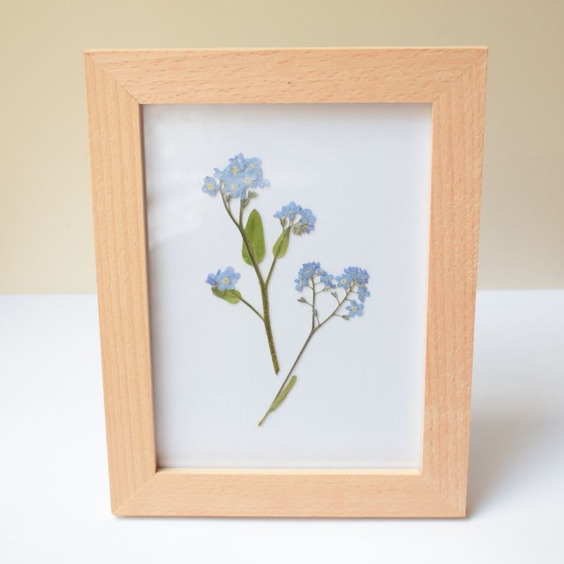 pressed forget me not framed