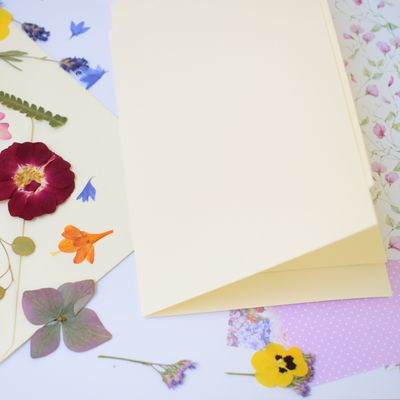 pressed flower cardmaking kit