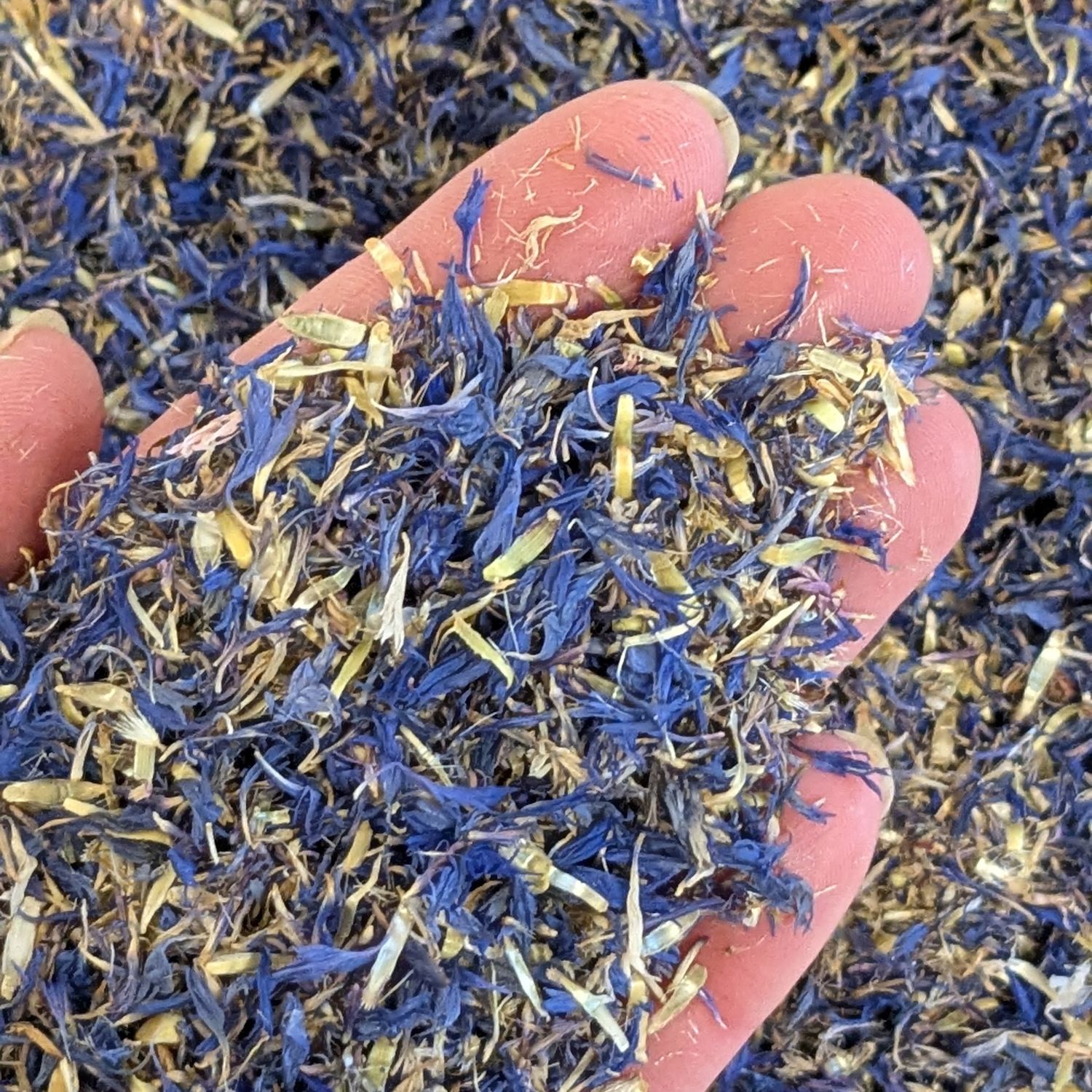 Pure dried cornflower petals blue wholesale - Seconds cornflower petals wholesale