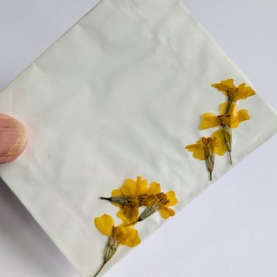 Pressed flowers Tagetes pack of 7 UK yellow pressed flowers tagetes