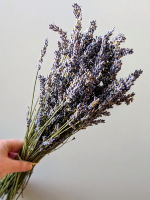 Dried lavender bunch bulk pack wholesale lavender bunch