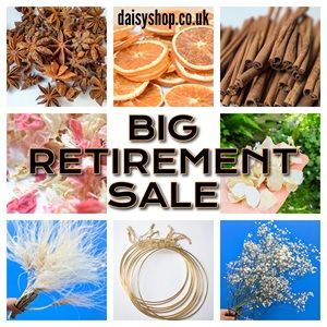Special Offers on dried flowers