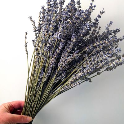 dried lavender bunch