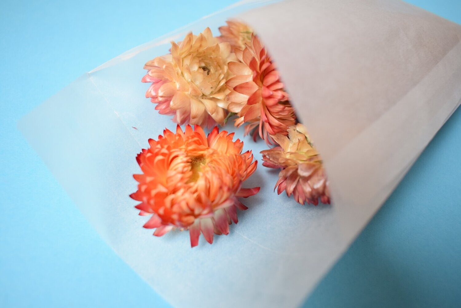 Glassine Paper Bags 160mm