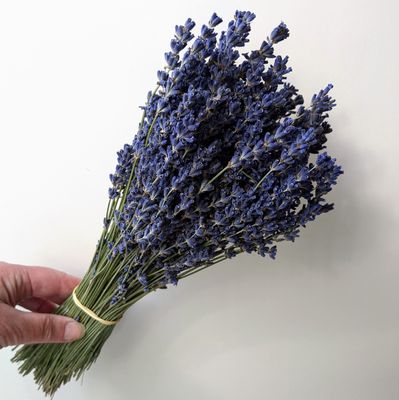 dried lavender bunch blue