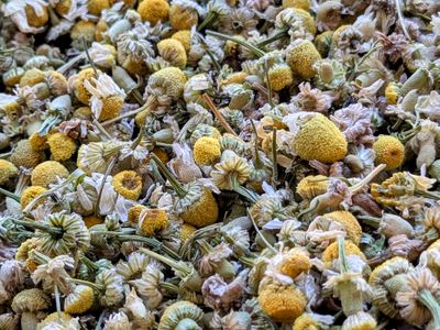 dried chamomile