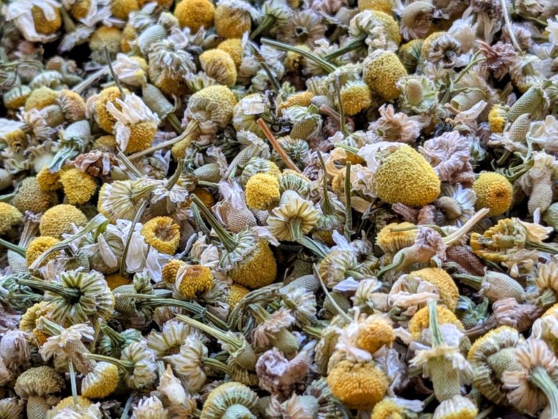 dried chamomile