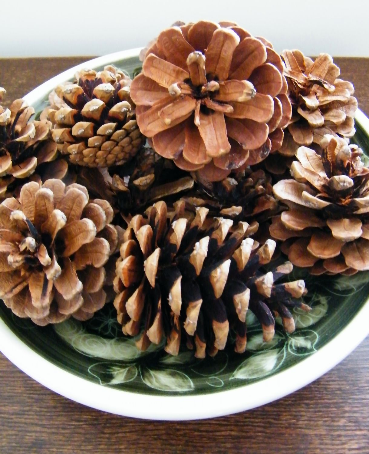 pine cones