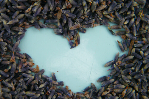 Dried lavender wedding confetti bulk dried lavender confetti wholesale