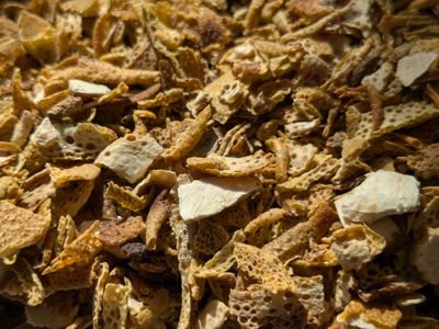 dried orange peel