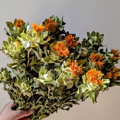 carthamus safflower dried