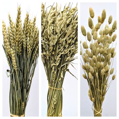 dried grasses uk grown