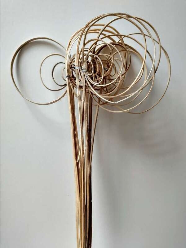 cane coil bunch
