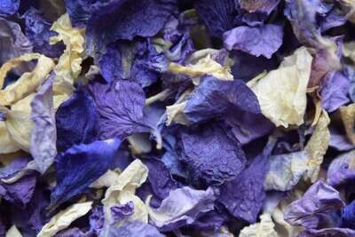 Delphinium petals mixed ivory, mid blue, indigo UK delphinium petal confetti blue mix